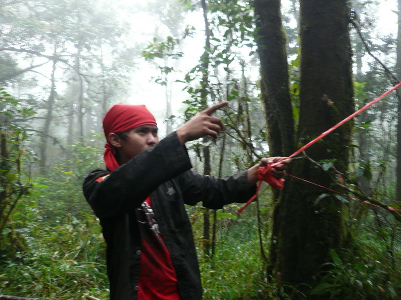P1040689.JPG