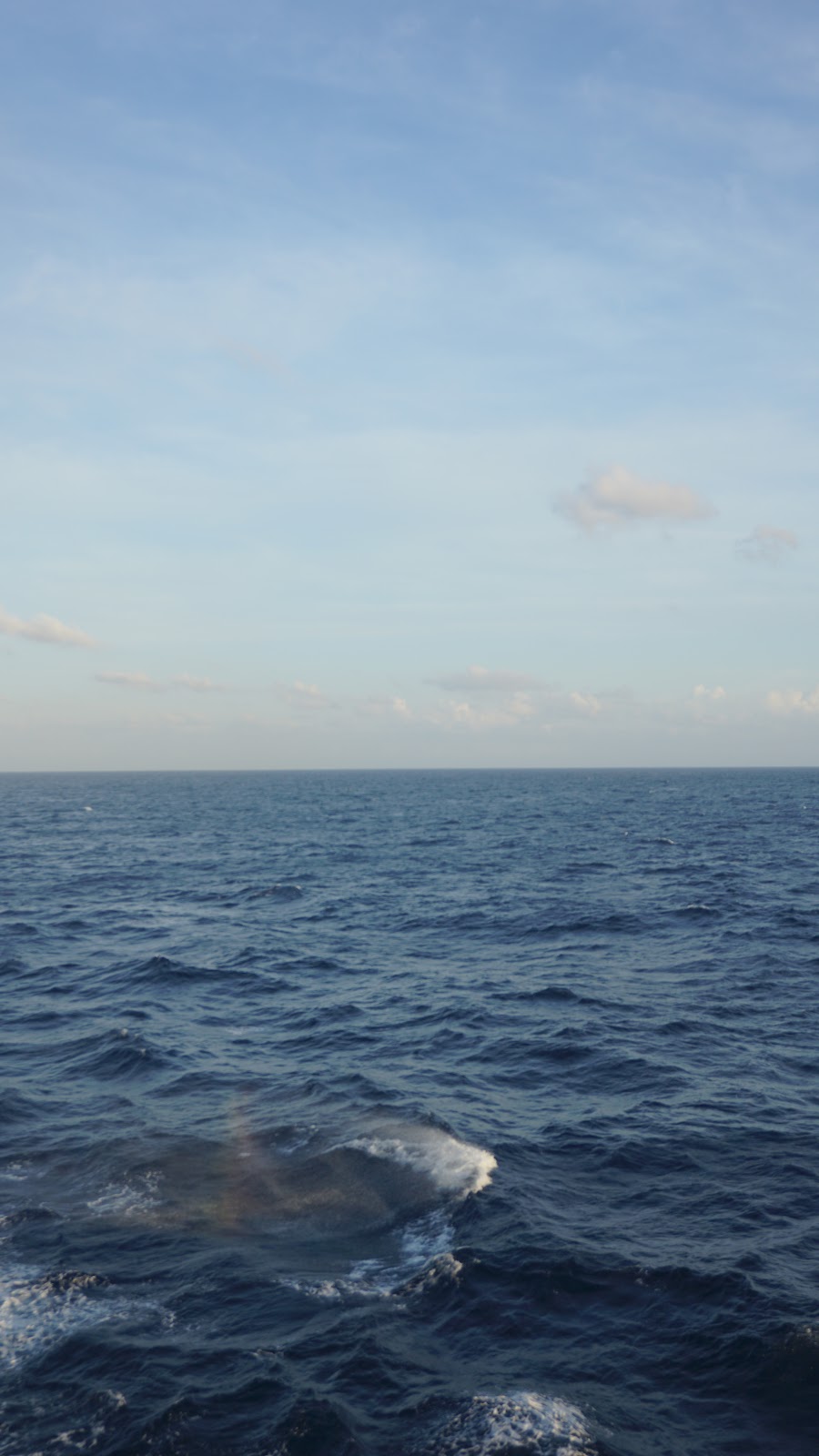 DSC02837.JPG