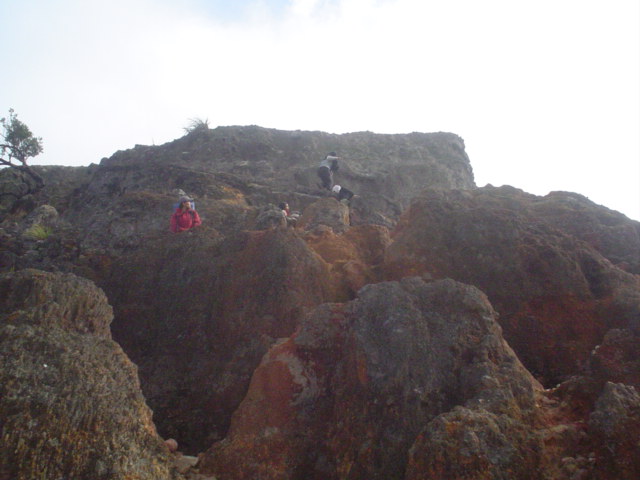 DSC01575.JPG