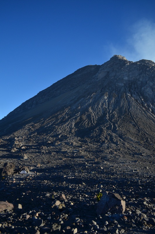 DSC_0082.JPG