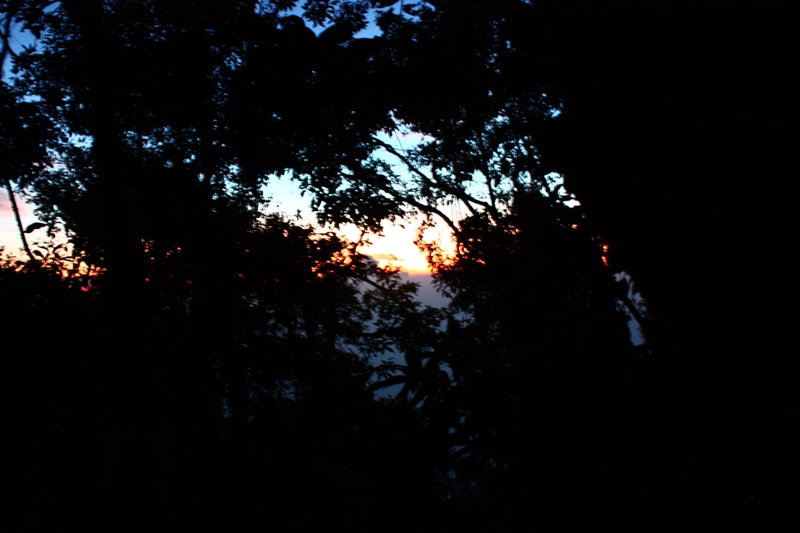 IMG_1667.JPG