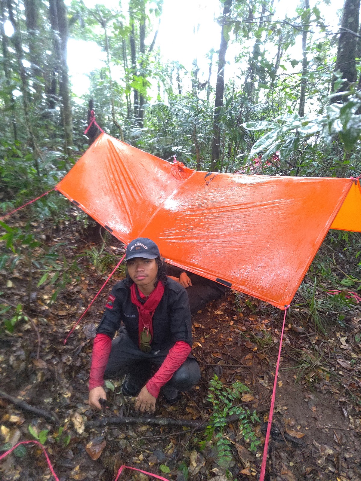 RA_20251228_124320_lmc_8.4.jpg