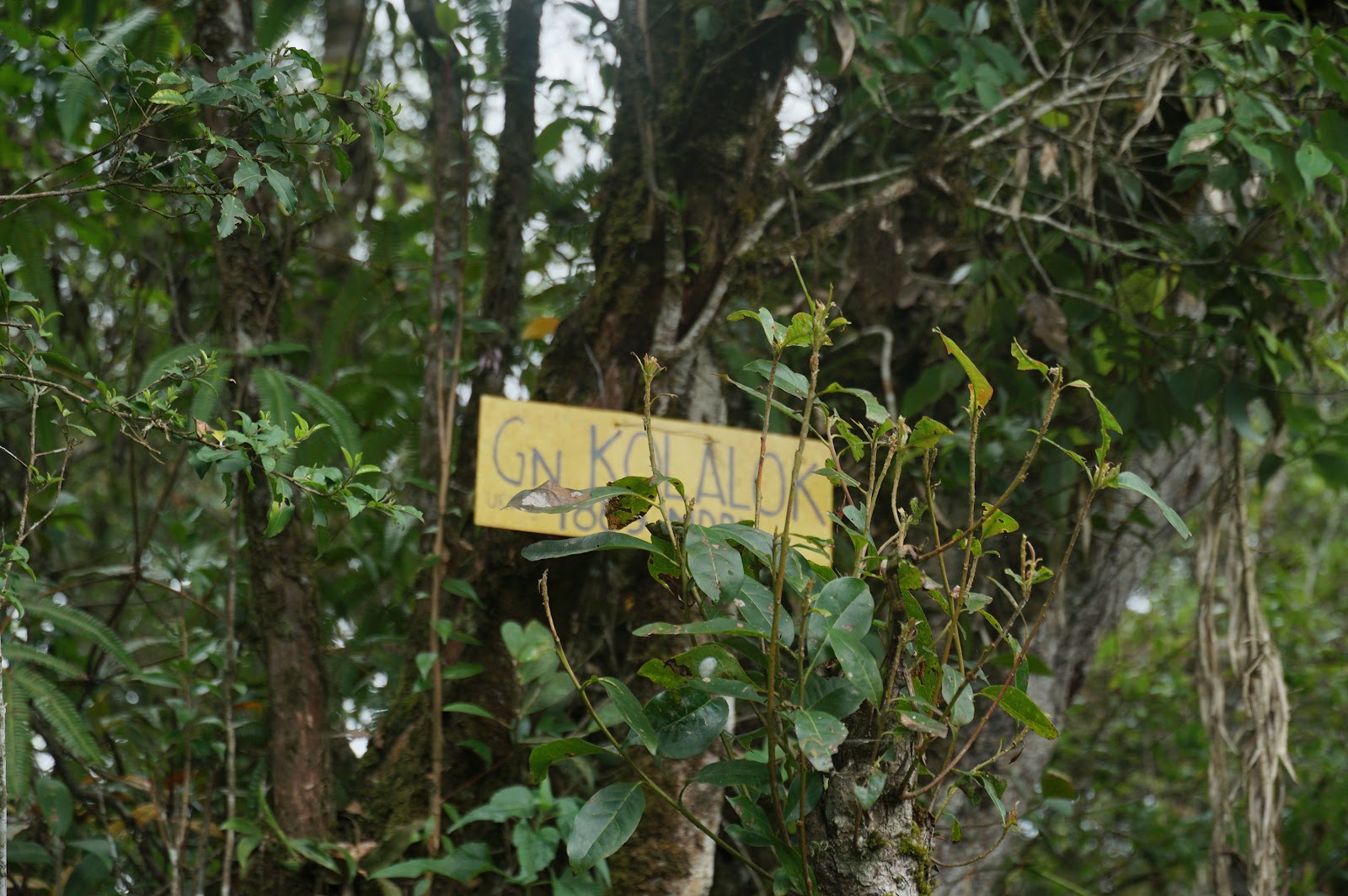 LDK00566.JPG