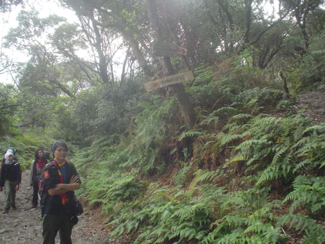 DSC01596.JPG
