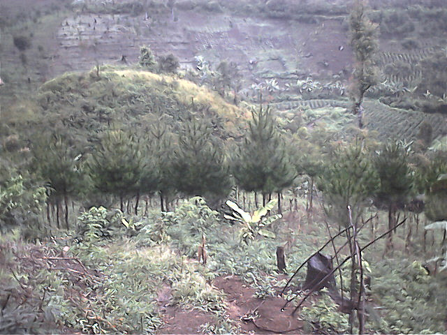 Survey PenDas KF Gunung Hutan - 007.jpg