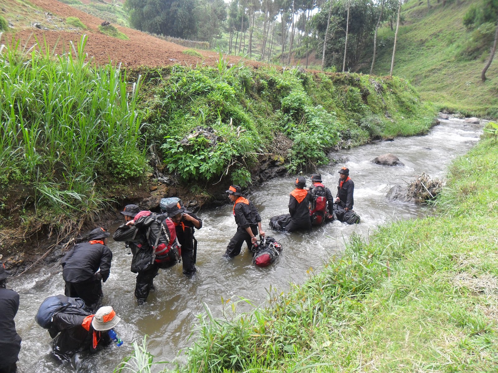 SAM_2964.JPG