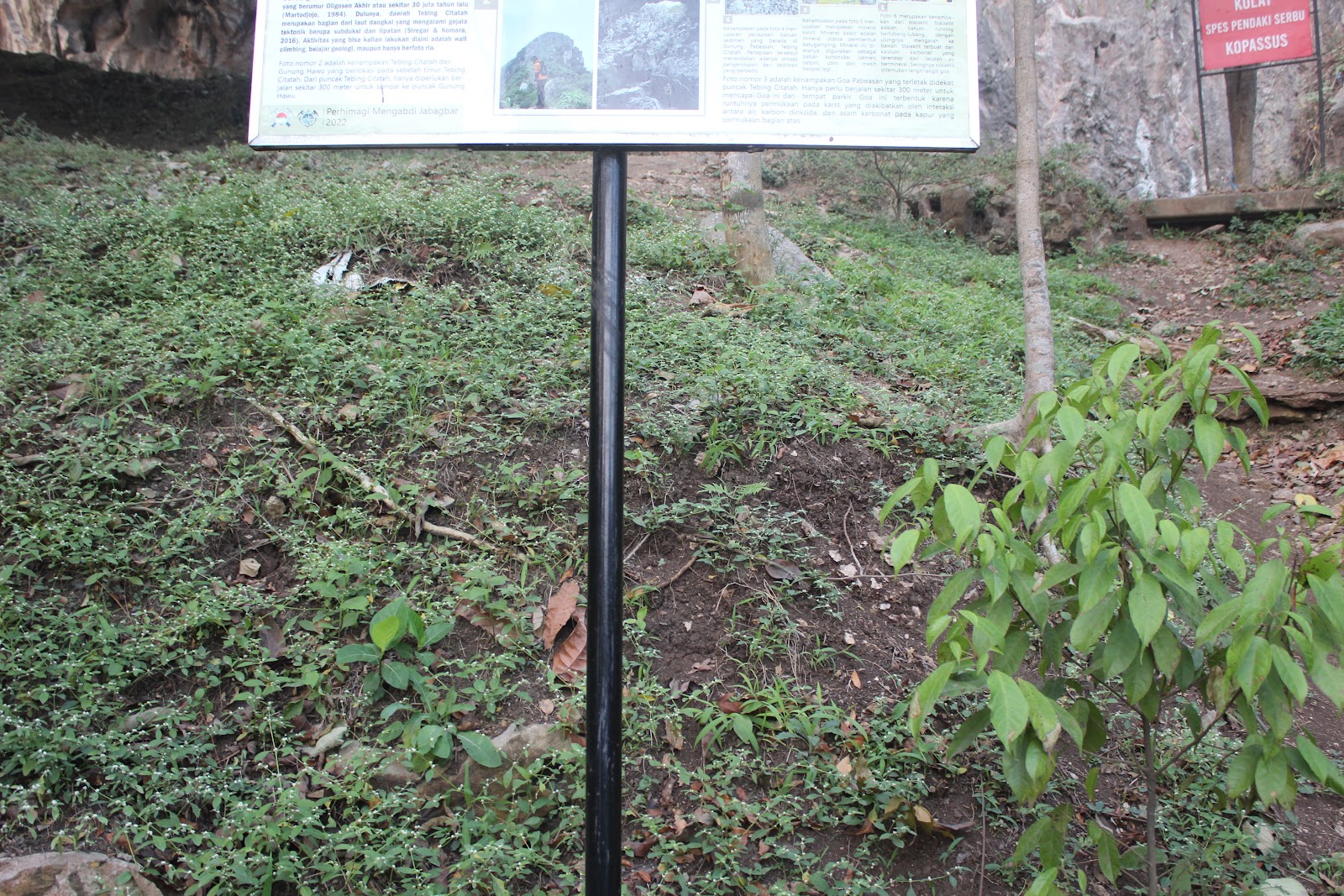 IMG_8852.JPG