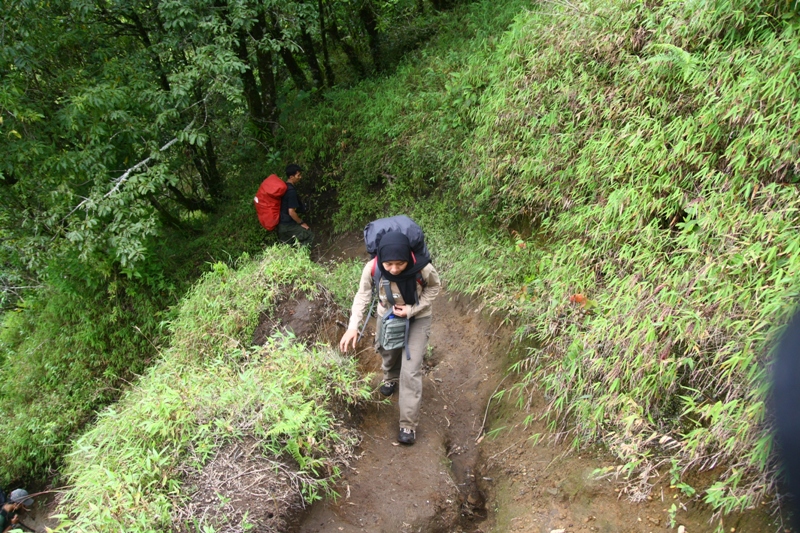 IMG_2448.JPG