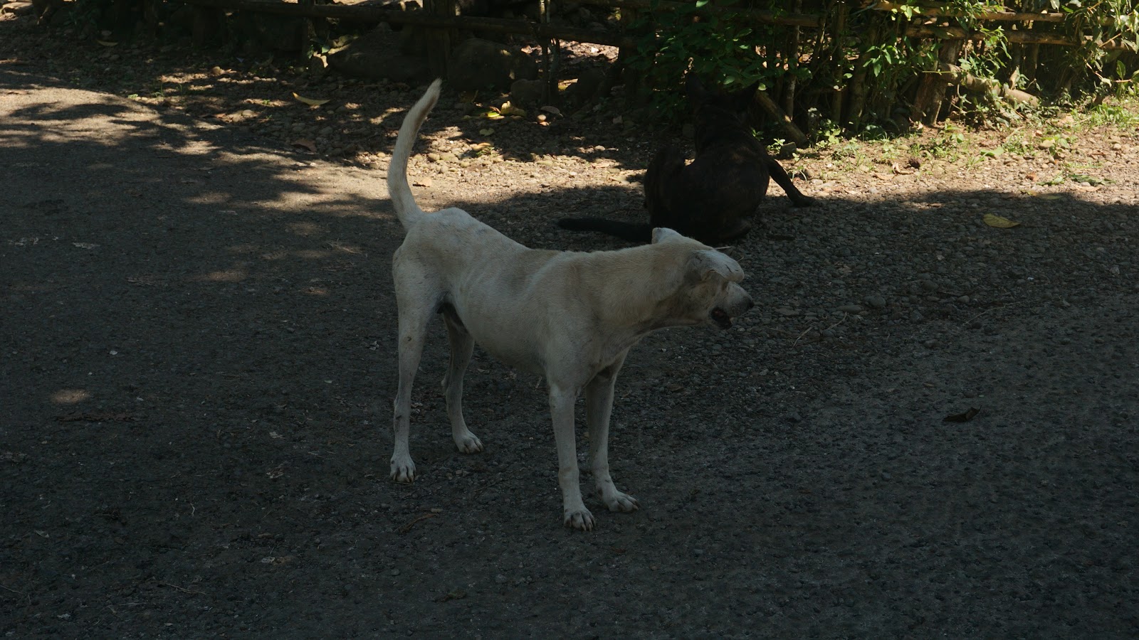 DSC03058.JPG