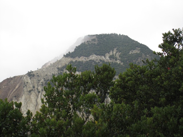 IMG_0042.JPG