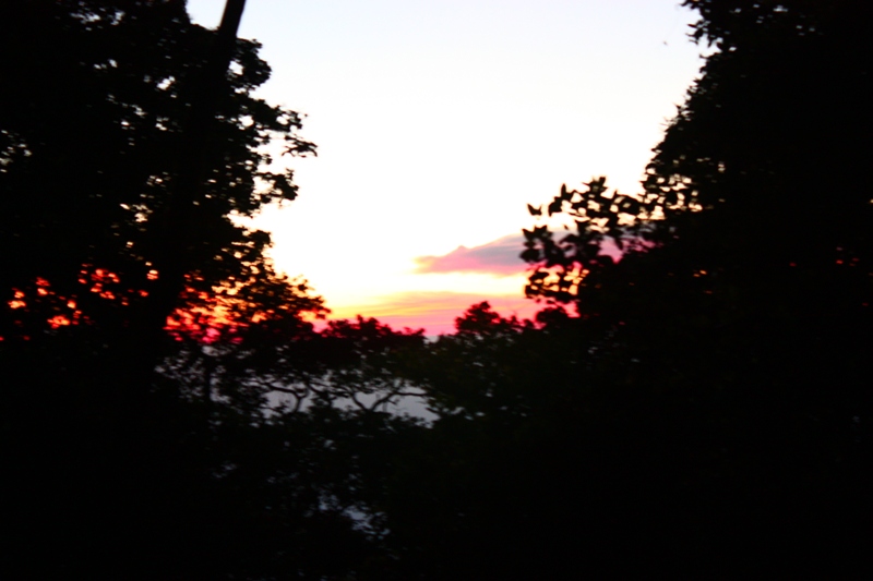 IMG_1674.JPG