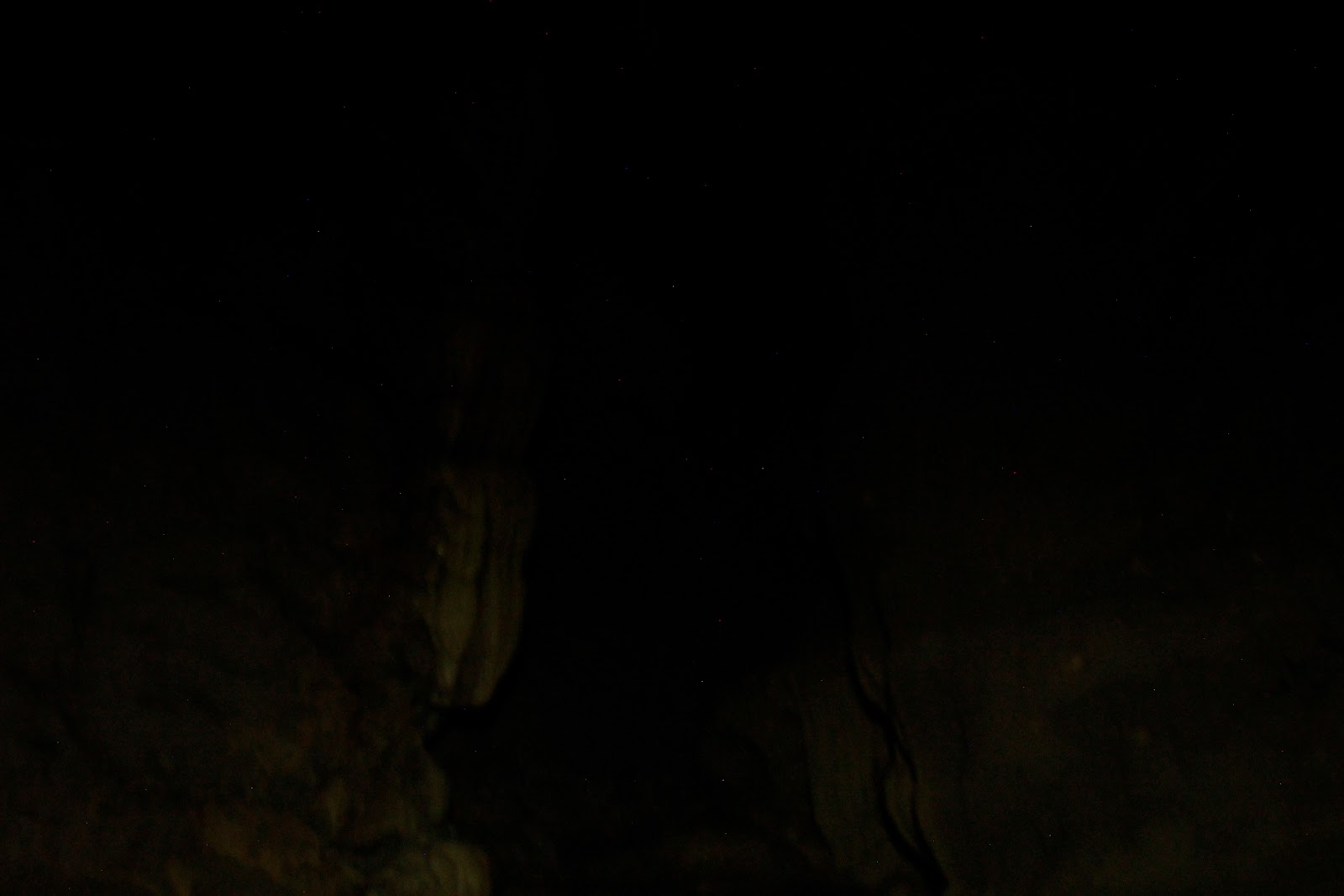 _MG_9541.JPG