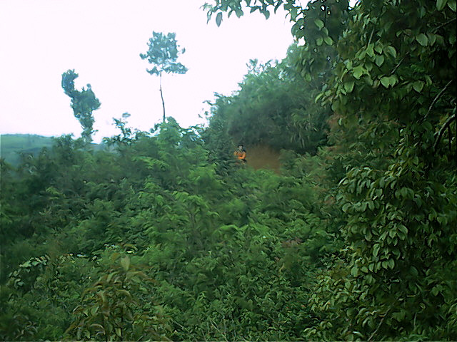 Survey PenDas KF Gunung Hutan - 049.jpg