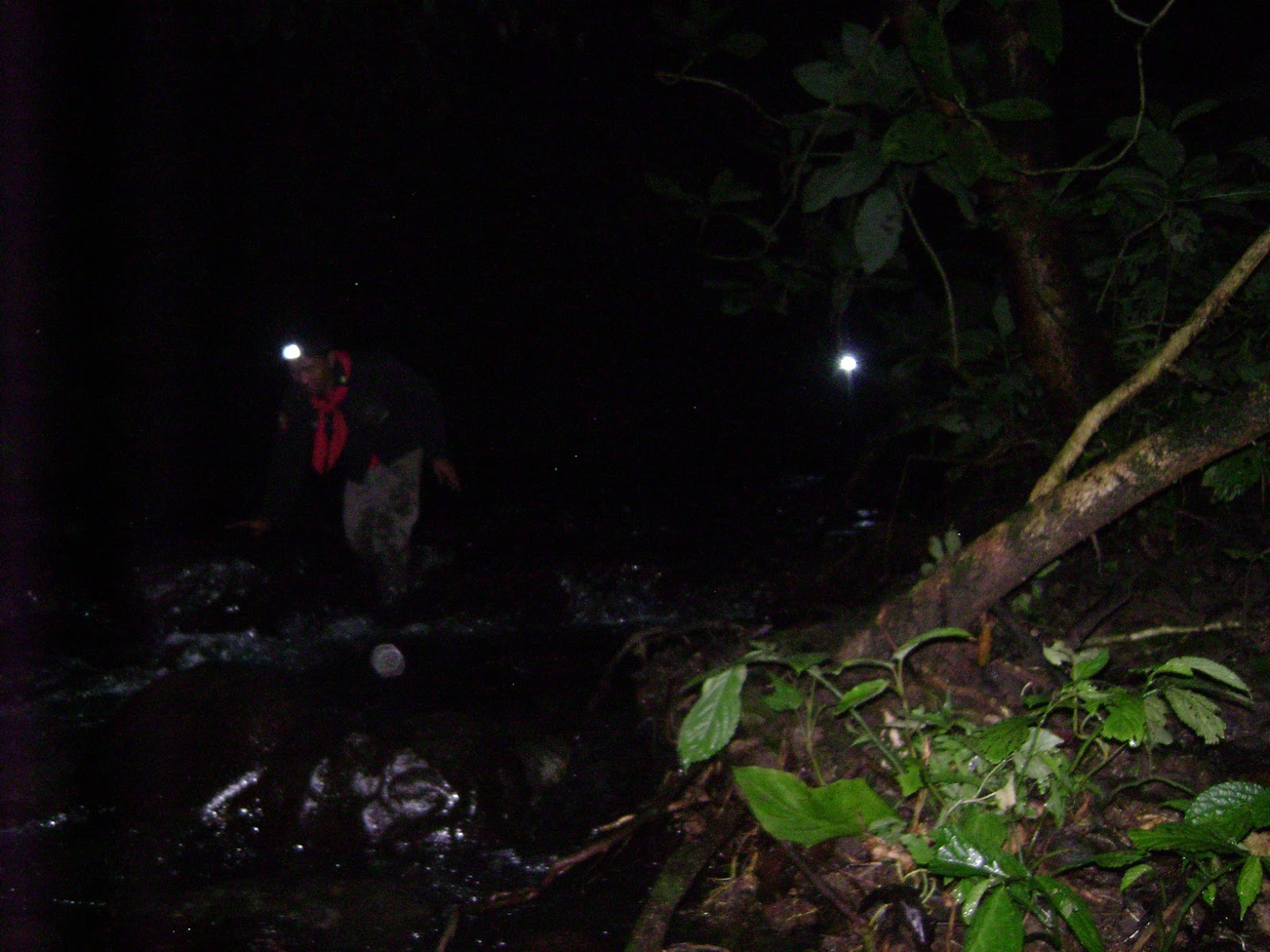 DSC07944.JPG