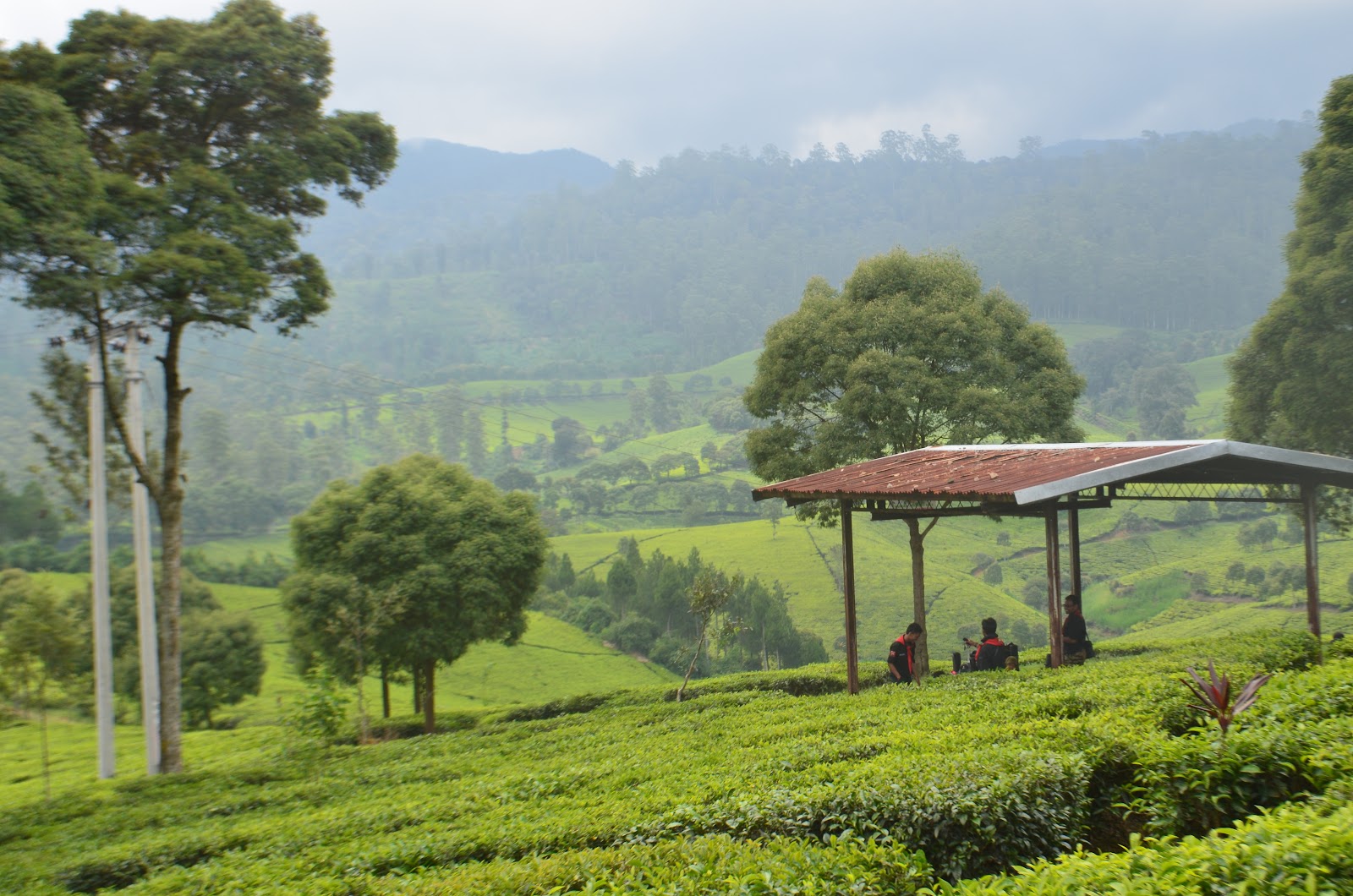 DSC_1303.JPG