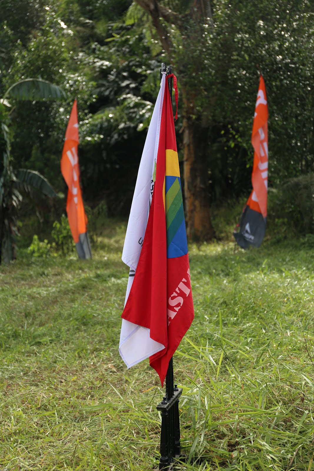 333A8477.JPG