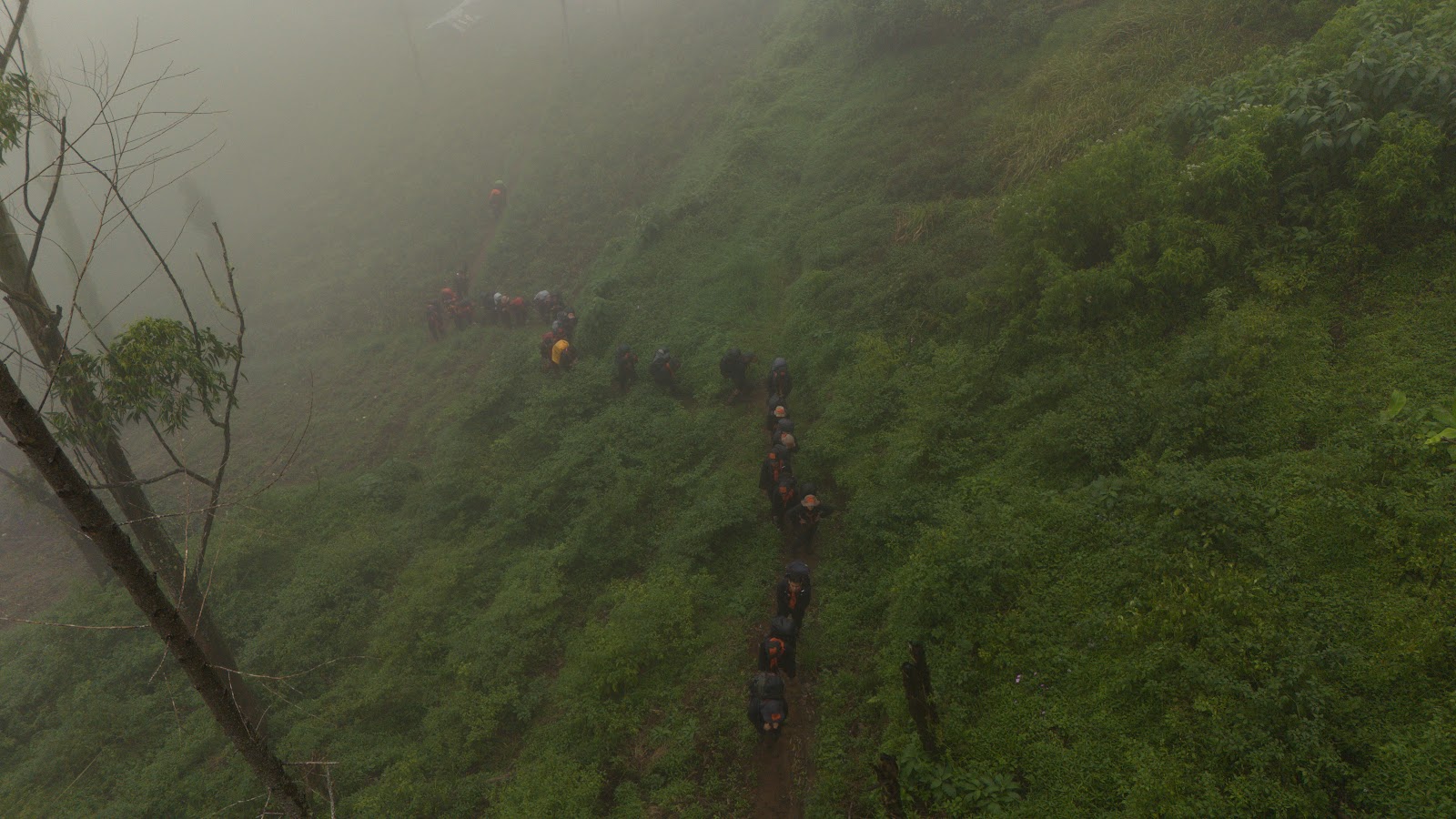 DJI_20260121112147_0173_D.DNG