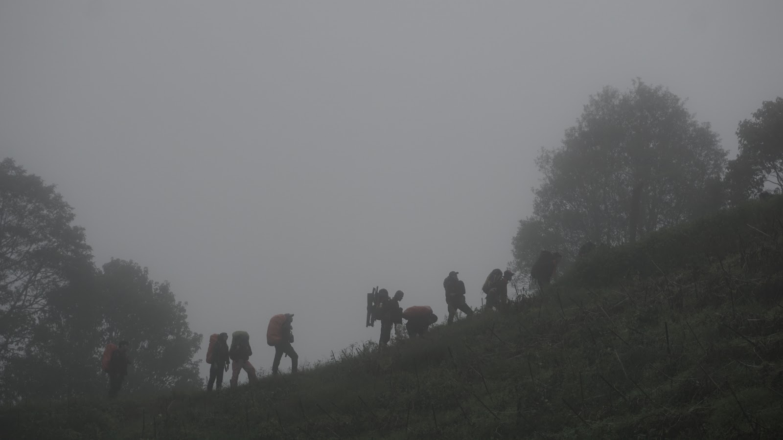 DSC08895.JPG