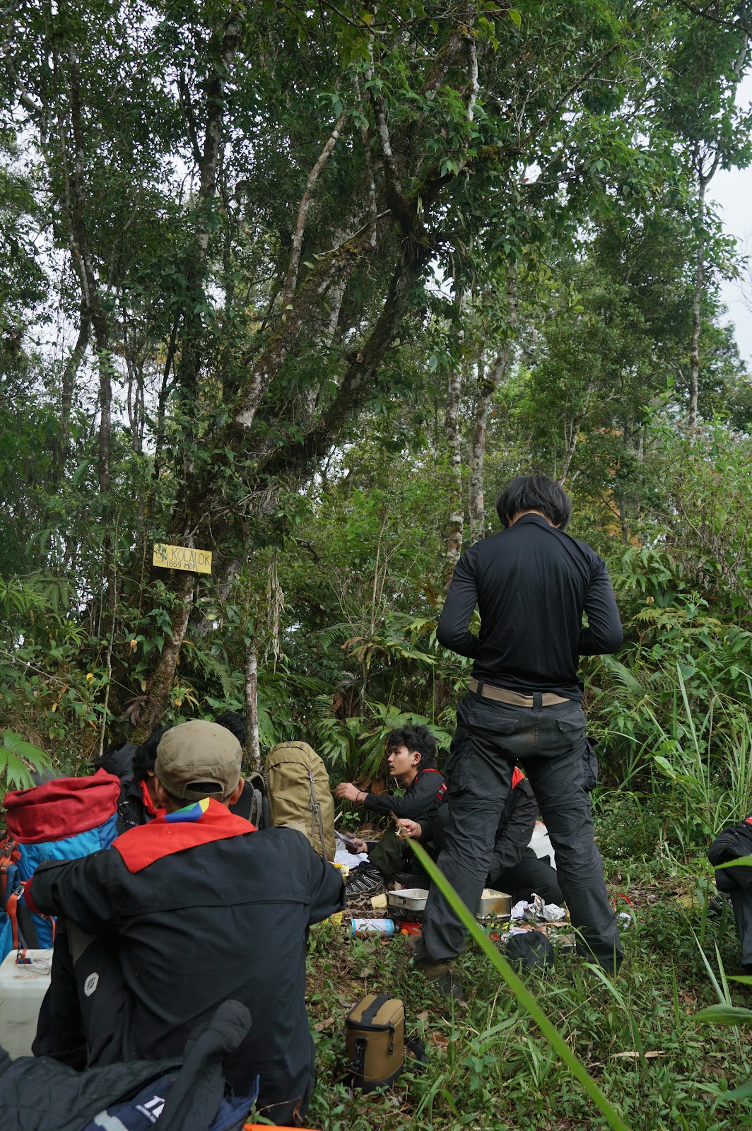 LDK00571.JPG