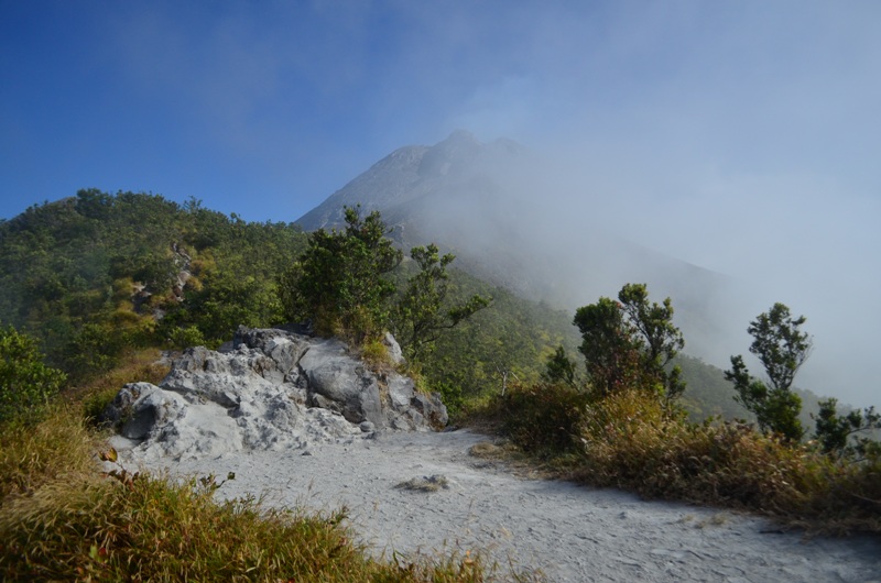 DSC_0029.JPG