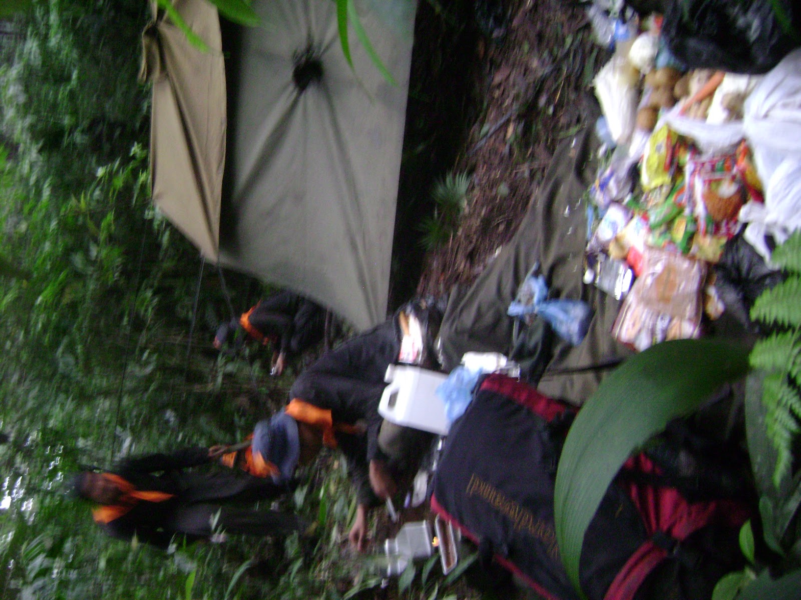 DSC07920.JPG