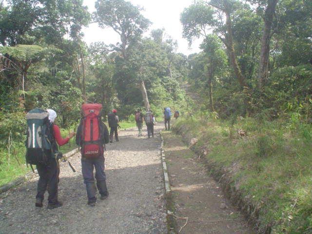 DSC01542.JPG