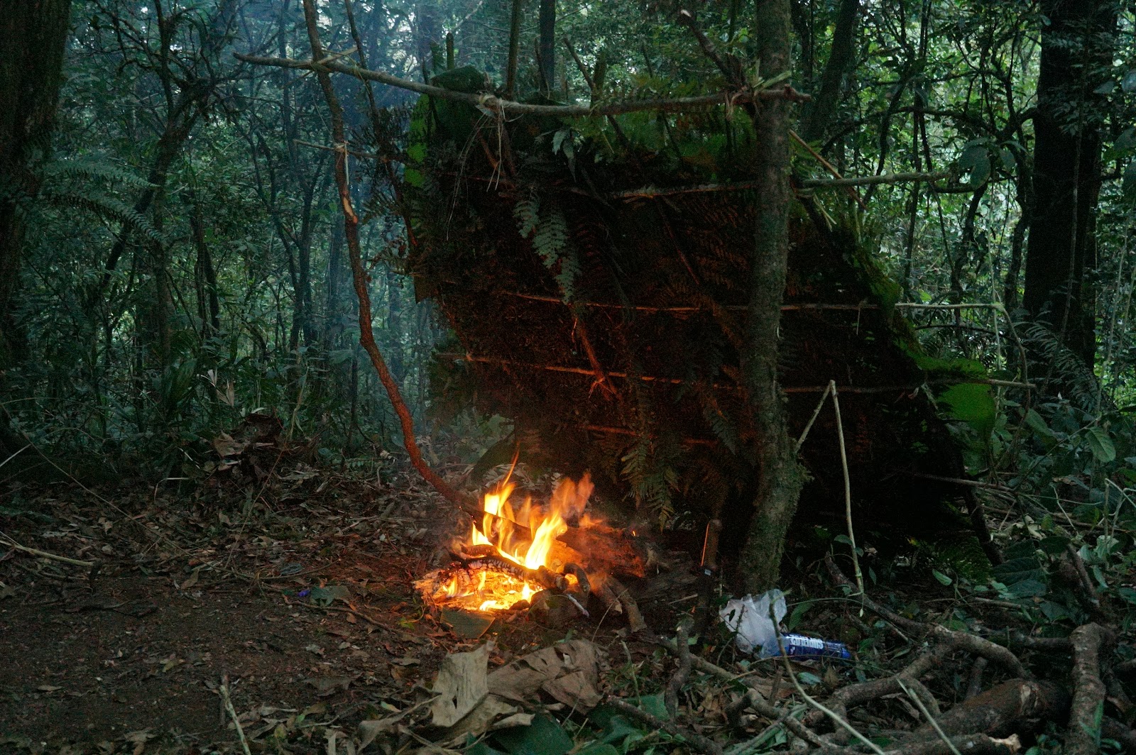 LDK00495.JPG