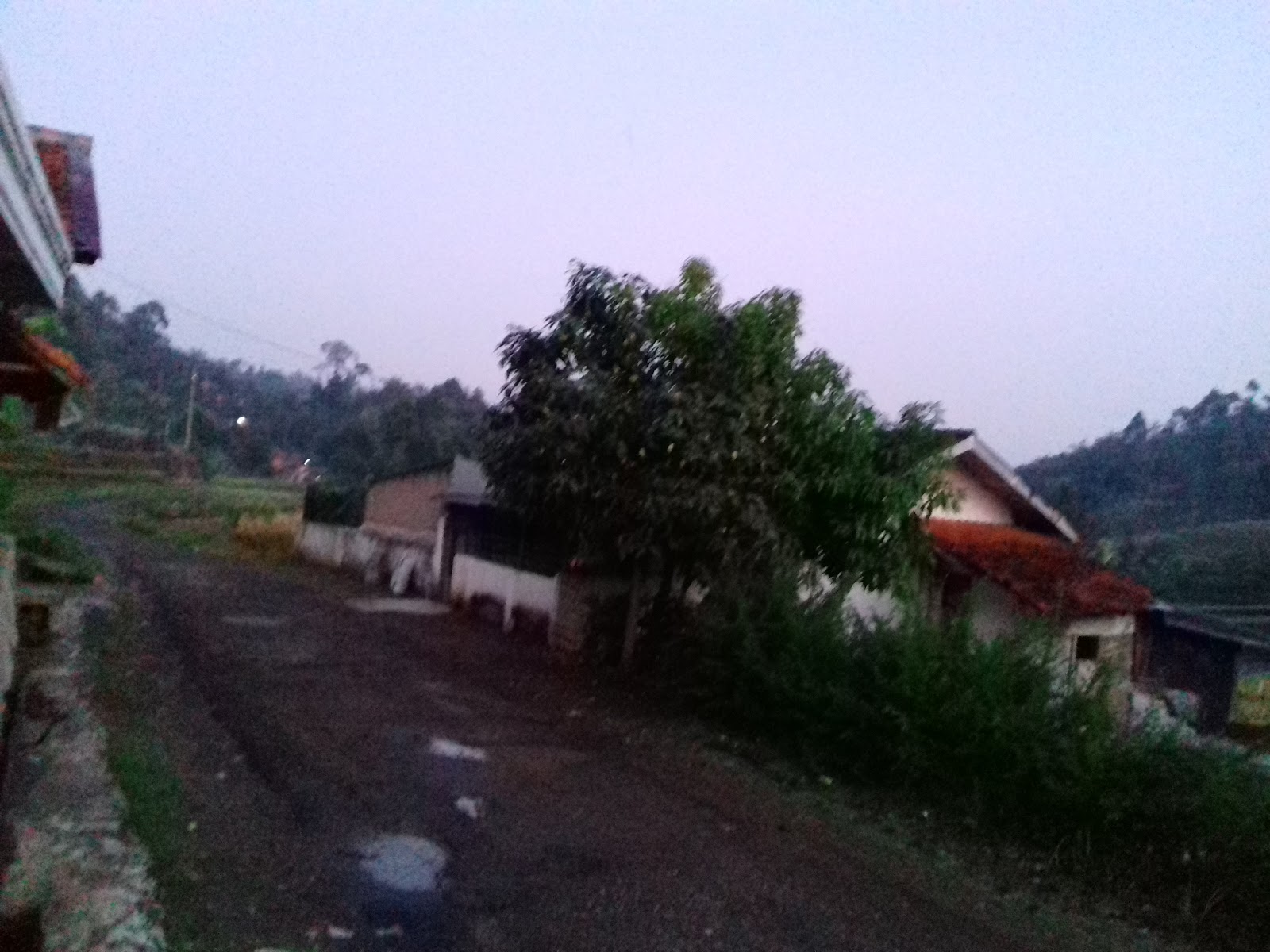 20151031_050925.jpg