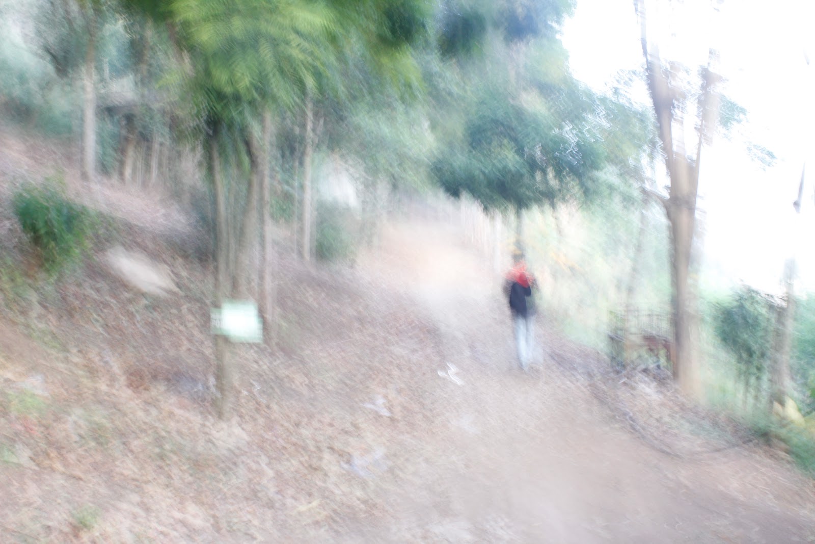 _MG_8874.JPG