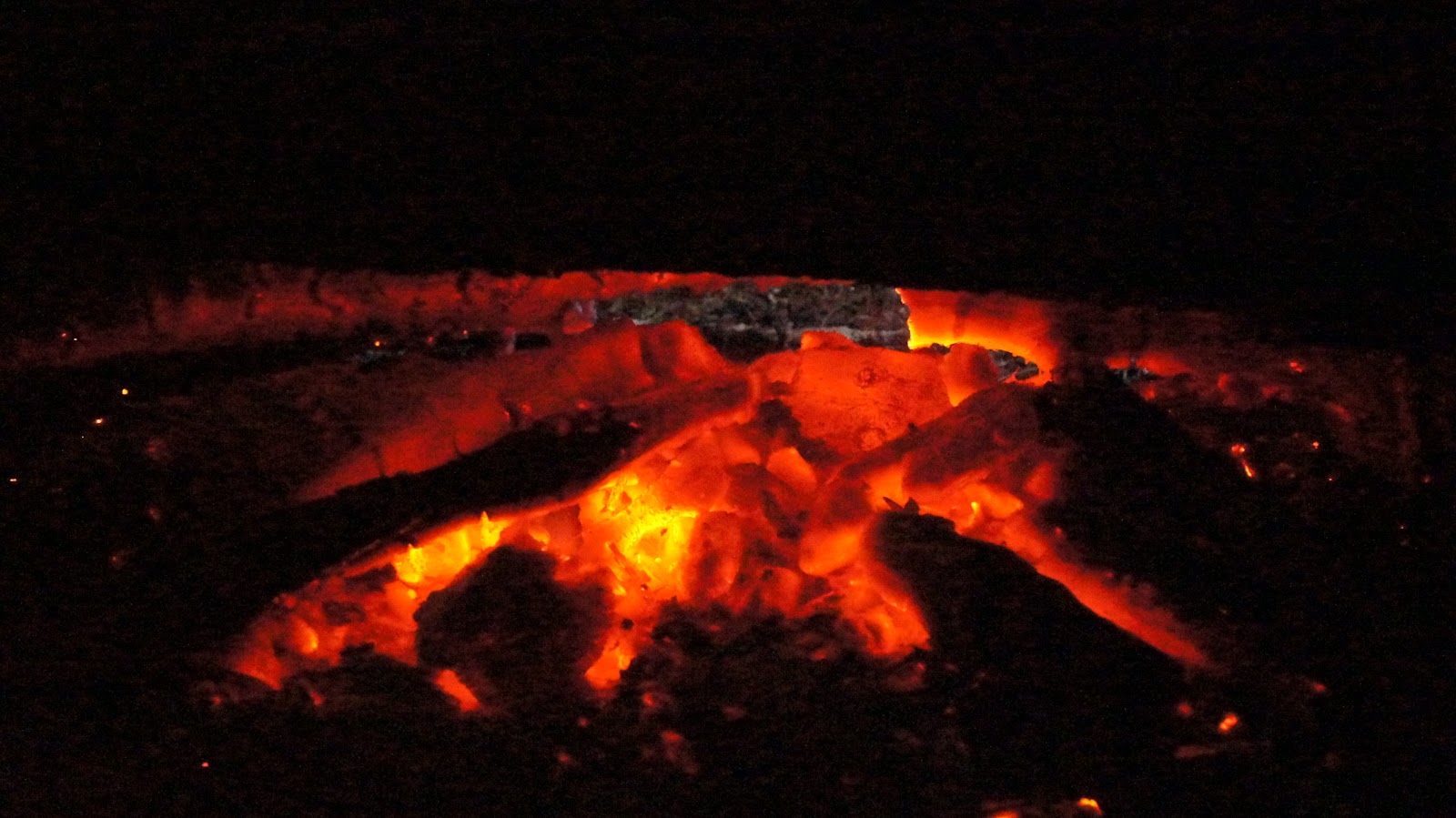 DSC04142.JPG