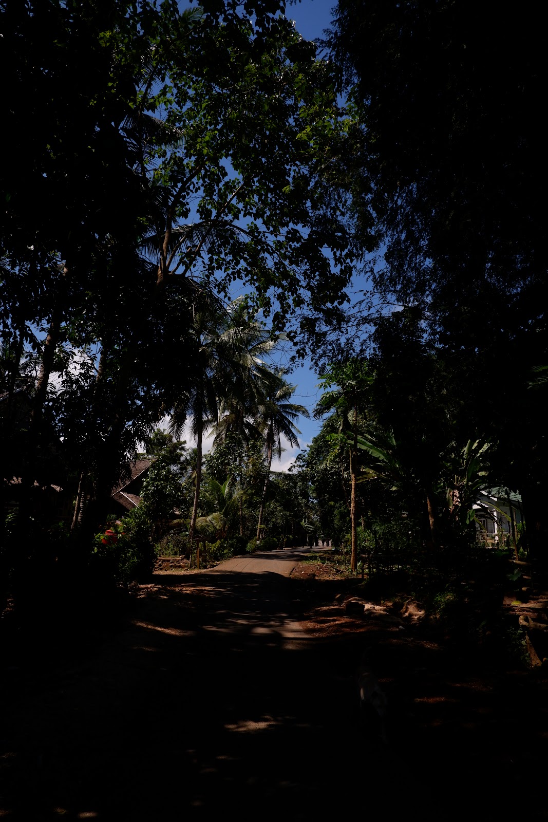 DSCF2122.JPG