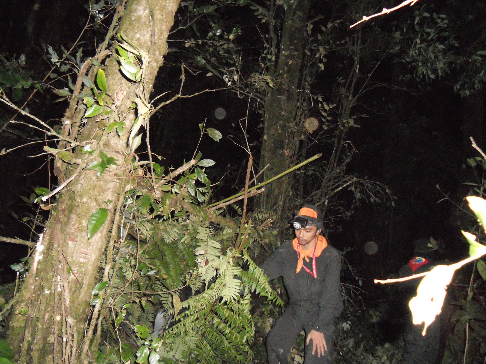 DSCN1517.JPG
