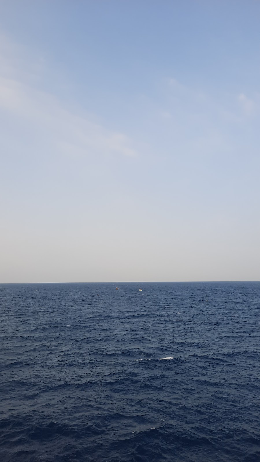 20250716_071206.jpg