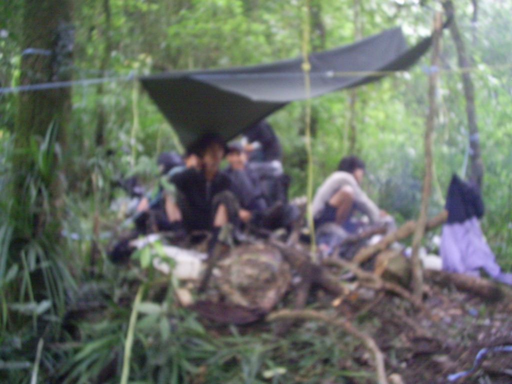 S3020025.JPG