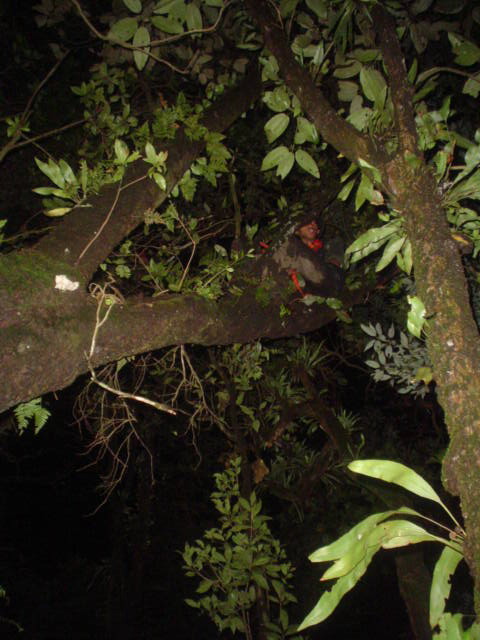 DSC02062.jpg