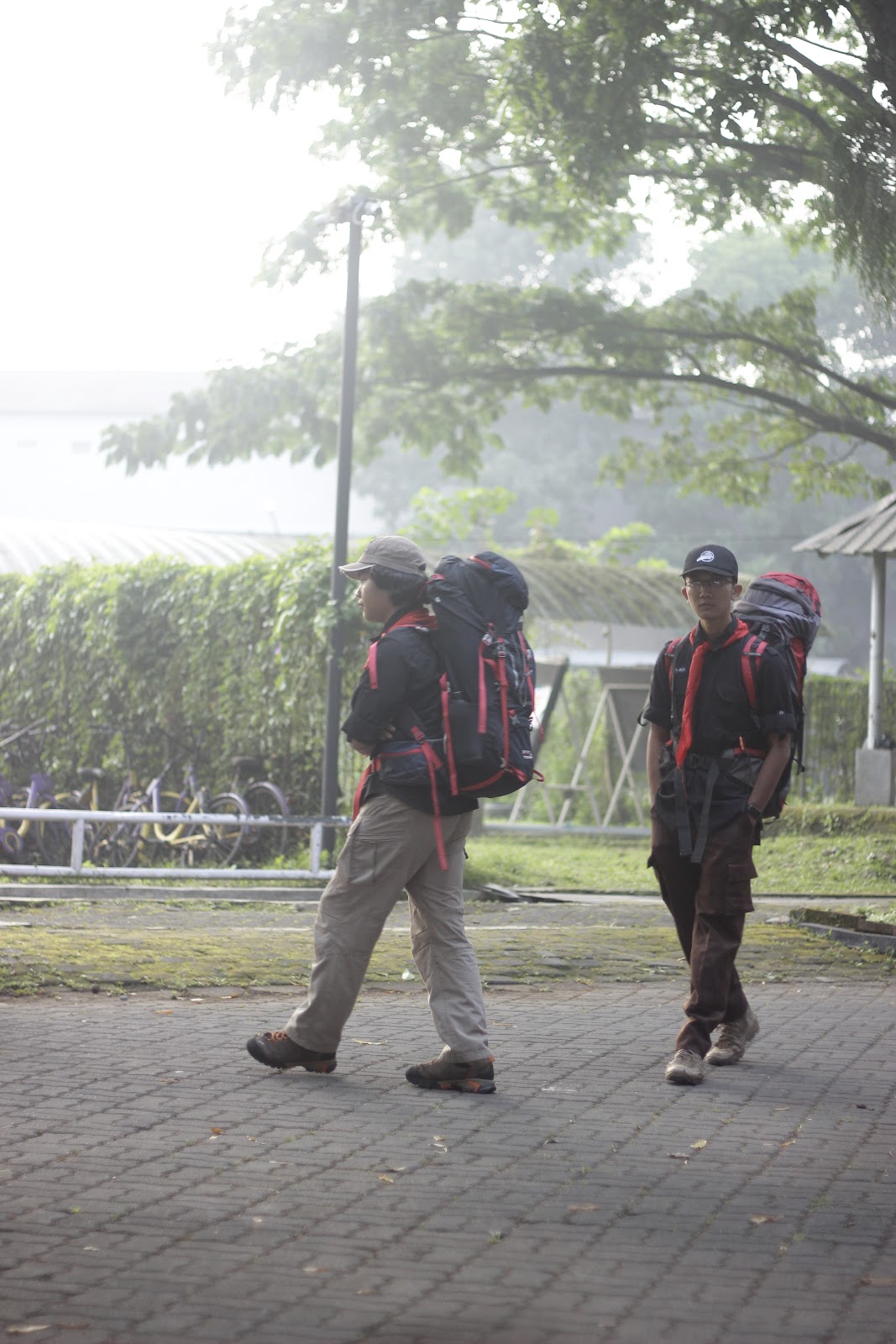 _MG_6506.JPG