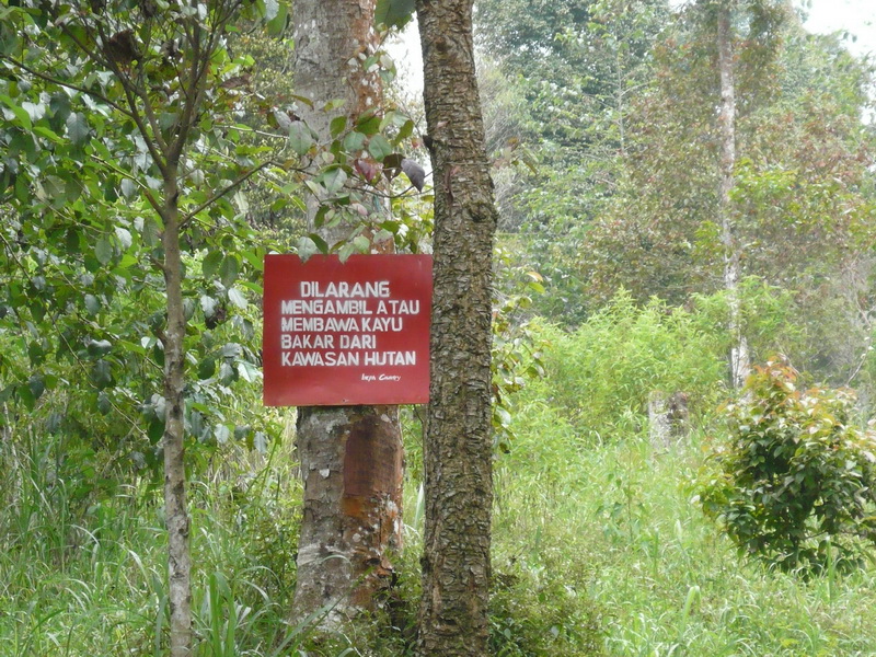 P1040876.JPG