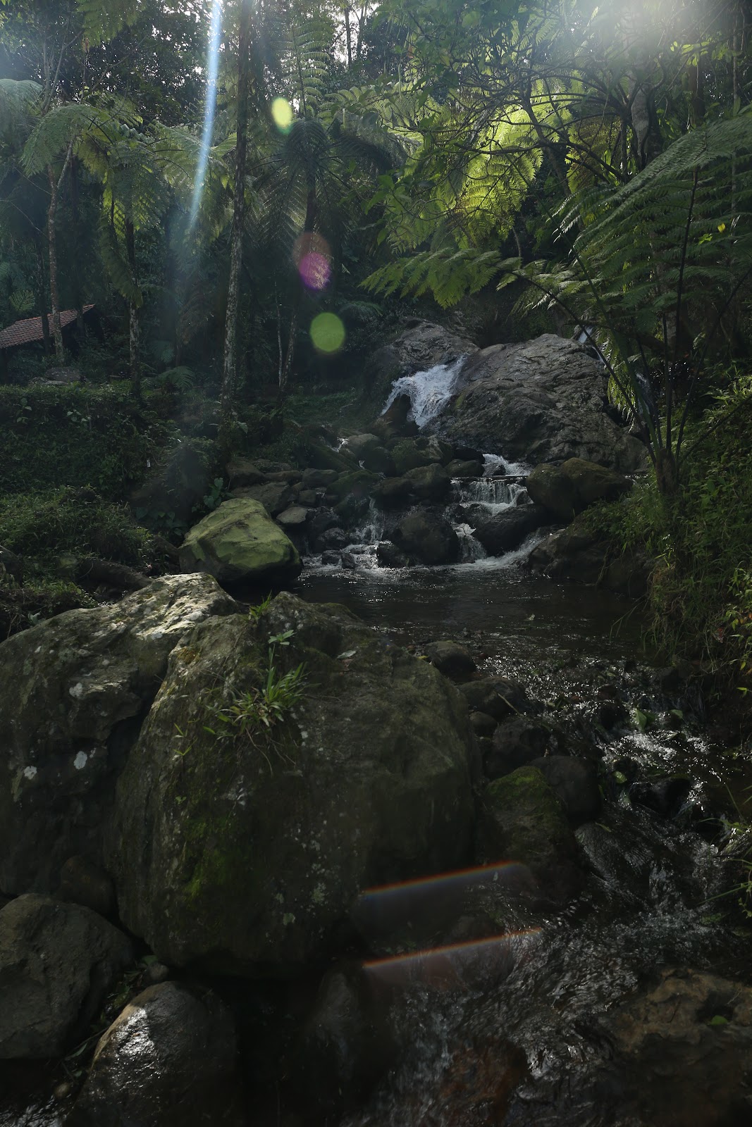 333A8399.JPG