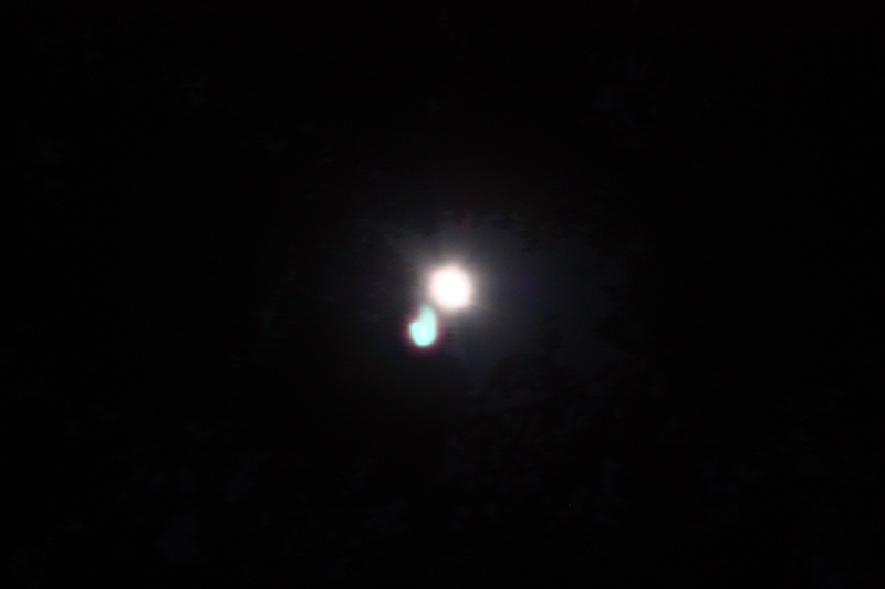 IMG_1631.JPG