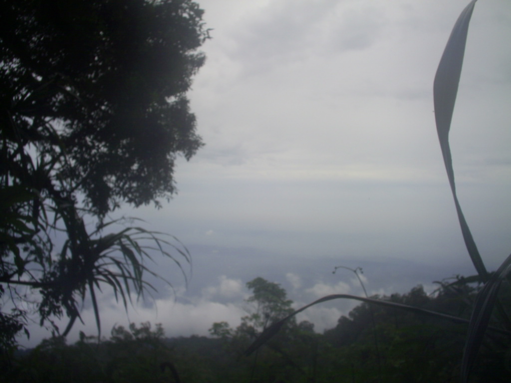 Survey PDA XIV Gunung Hutan dan SAR - 026.JPG