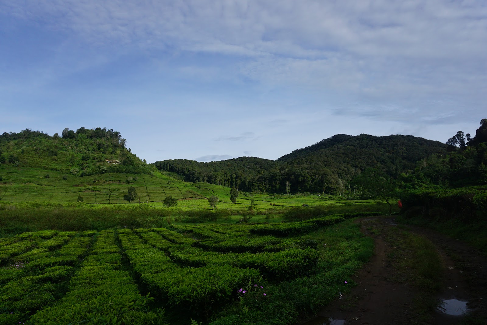 DSC07811.JPG