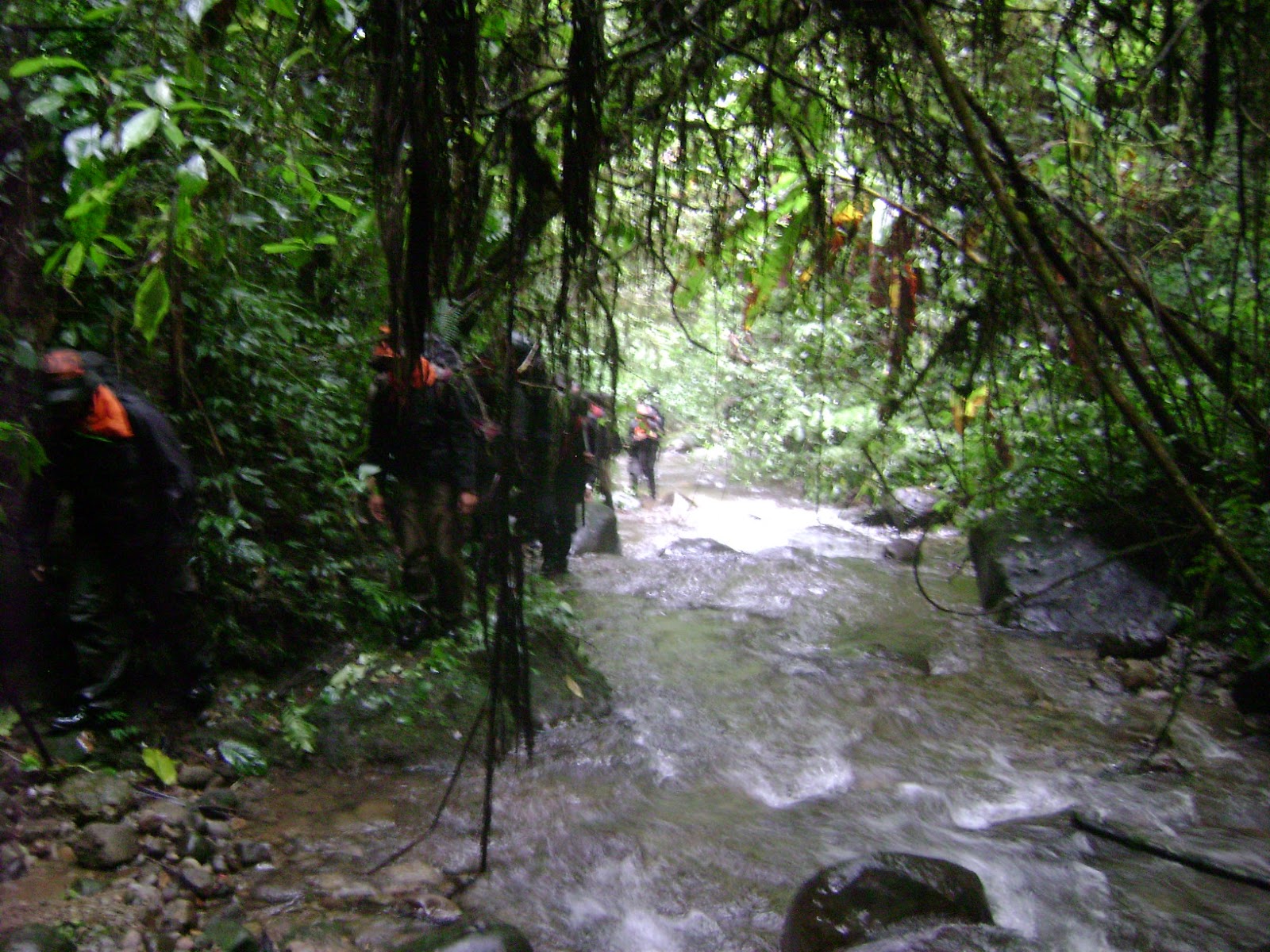 DSC09826.JPG