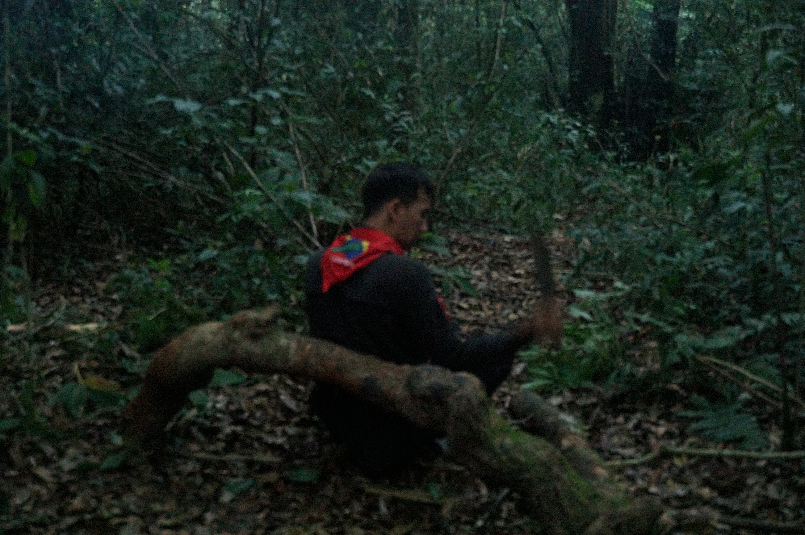 LDK00533.JPG