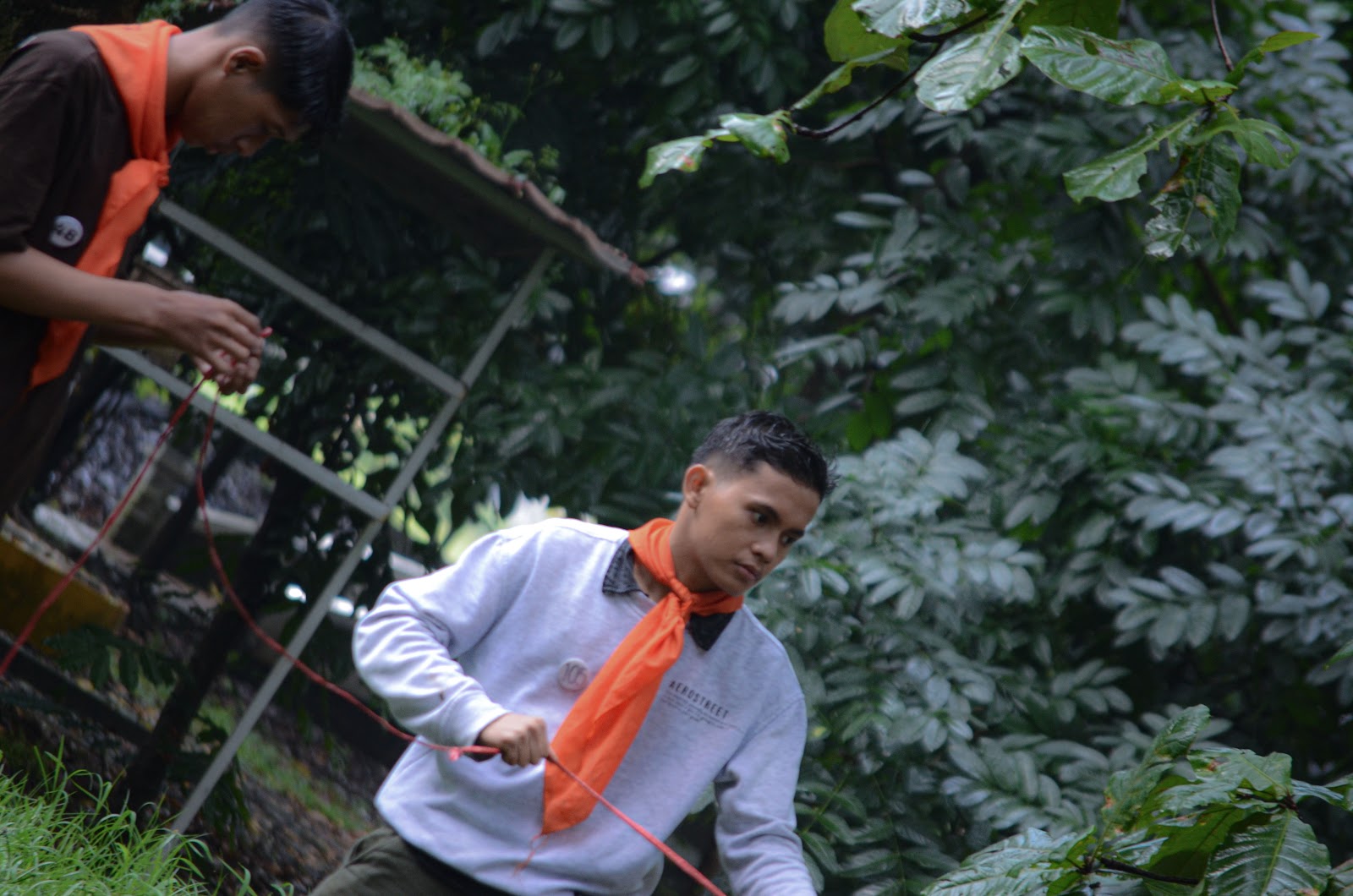 GH & SurvivalL-6.jpg