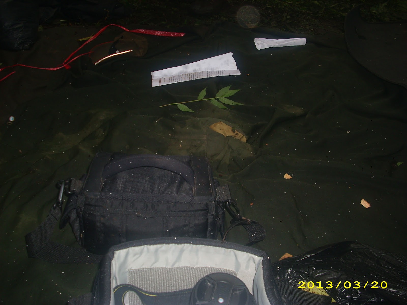 DSCI7737.JPG