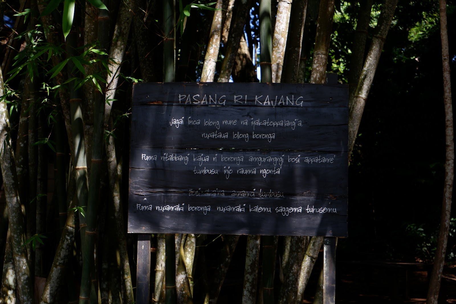DSCF2125.JPG