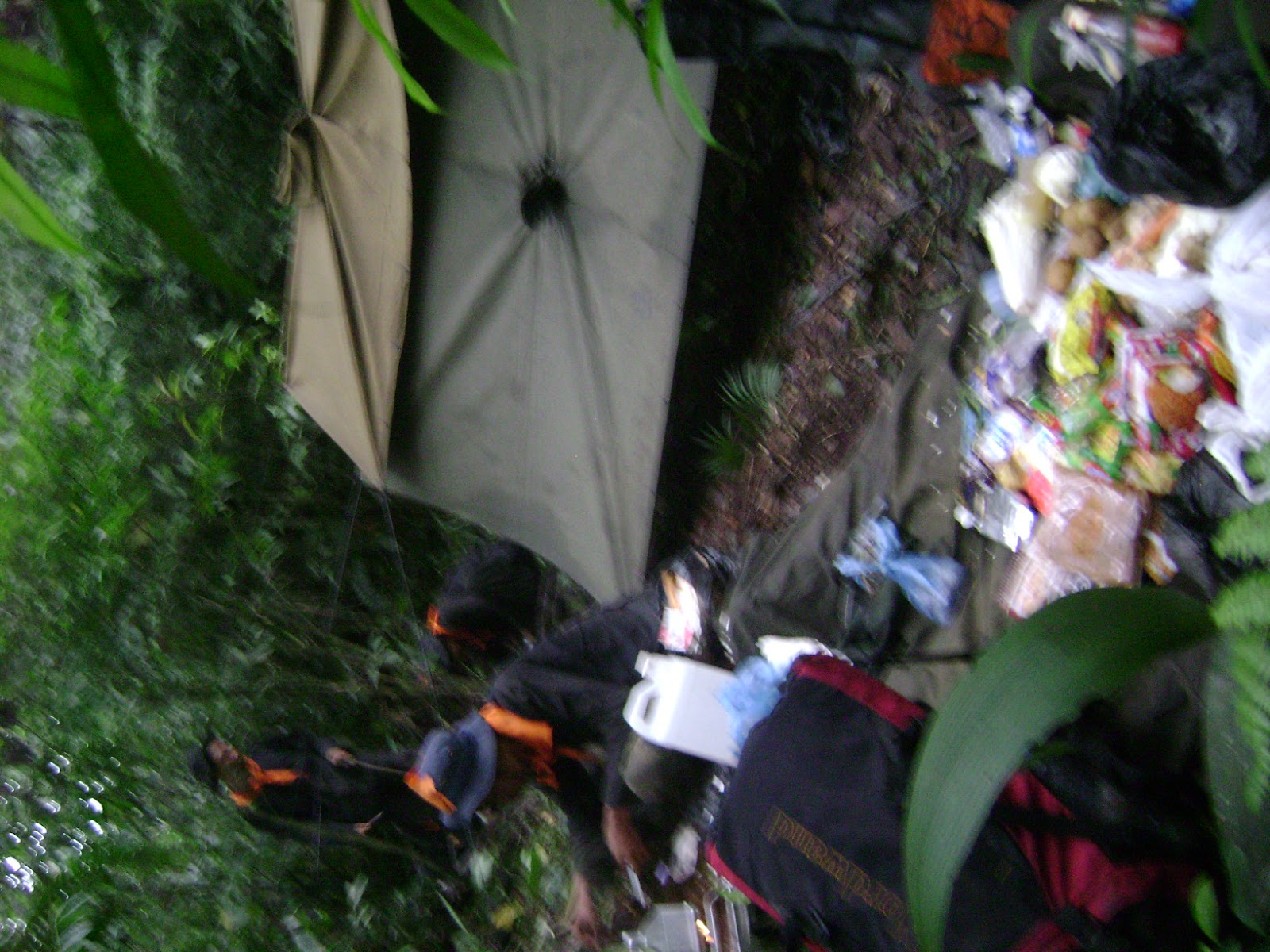 DSC07919.JPG