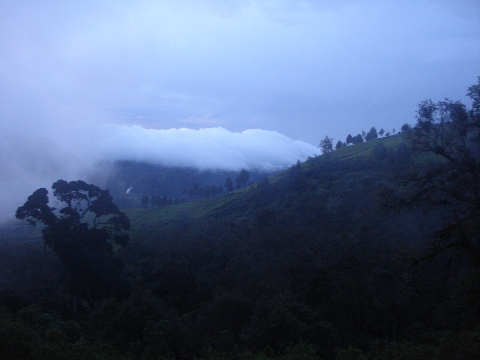 DSC05228.JPG