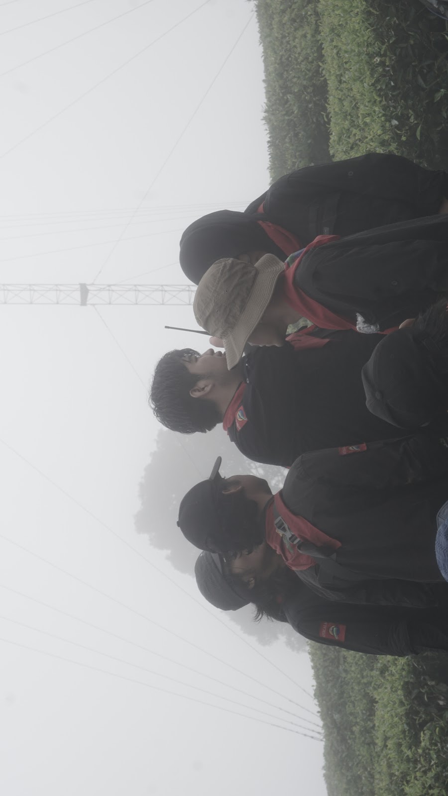 DSC08950.JPG