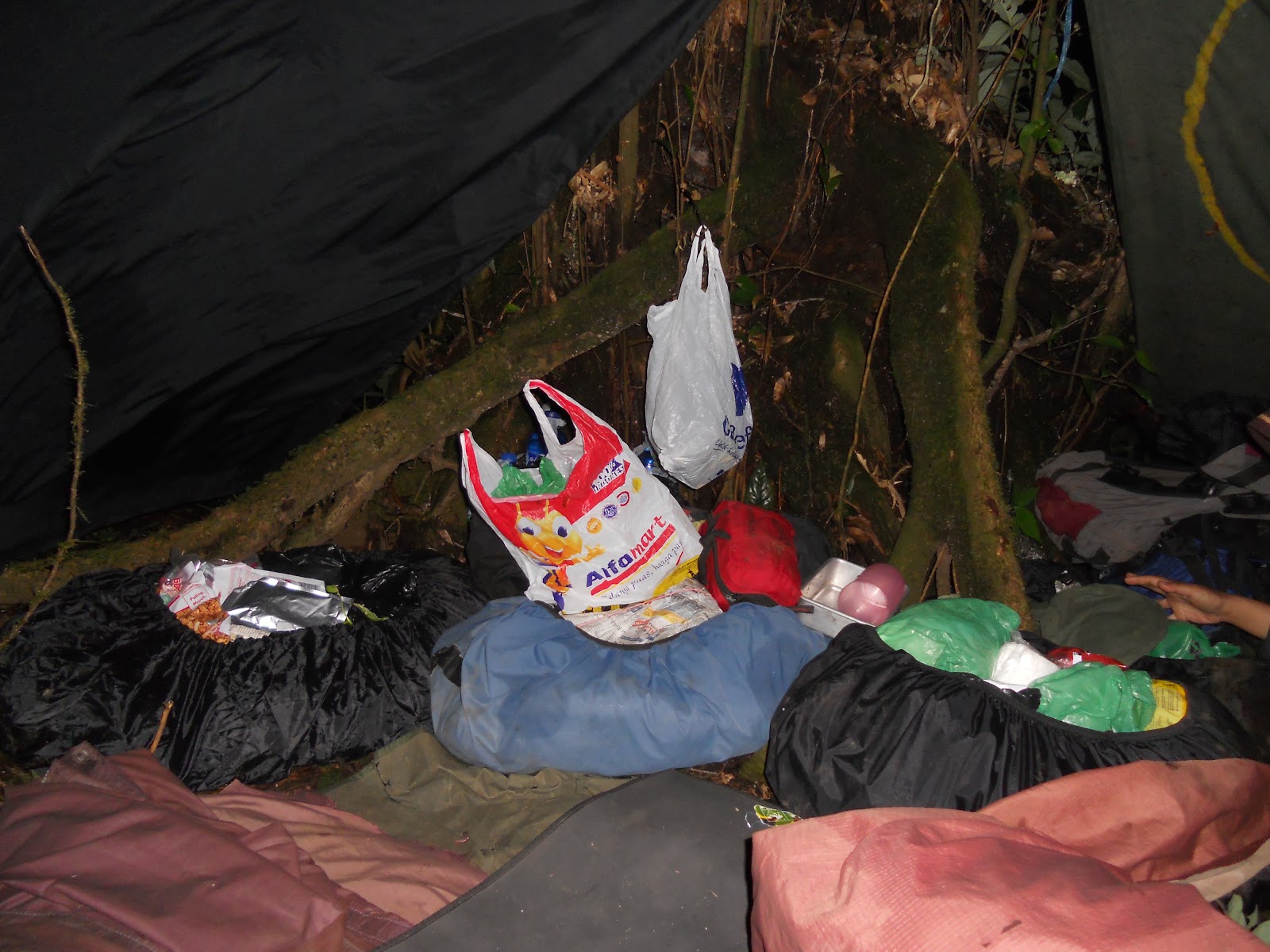 DSCN1419.JPG